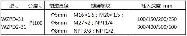 軸承熱電阻WZPD-31技術參數 軸承熱電阻WZPD-31技術參數