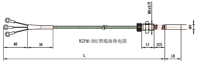 WZPM-201端面鉑電阻結構示意圖 WZPM-201端面鉑電阻結構示意圖