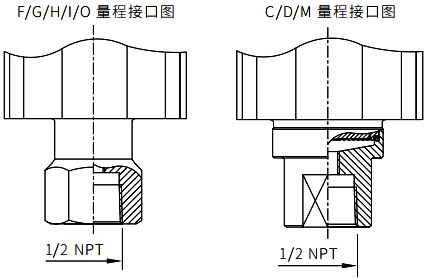 直連式壓力變送器標(biāo)準(zhǔn)形式過程連接