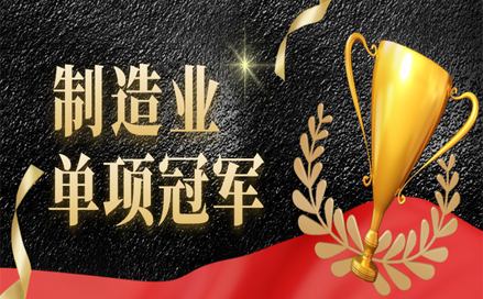 制造業(yè)單項冠軍示范企業(yè) 制造業(yè)單項冠軍示范企業(yè)