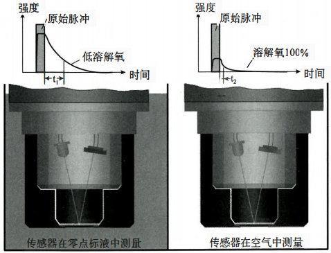 熒光法溶解氧傳感器系統(tǒng)測(cè)量原理 熒光法溶解氧傳感器系統(tǒng)測(cè)量原理